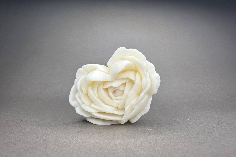 Peonia cuore