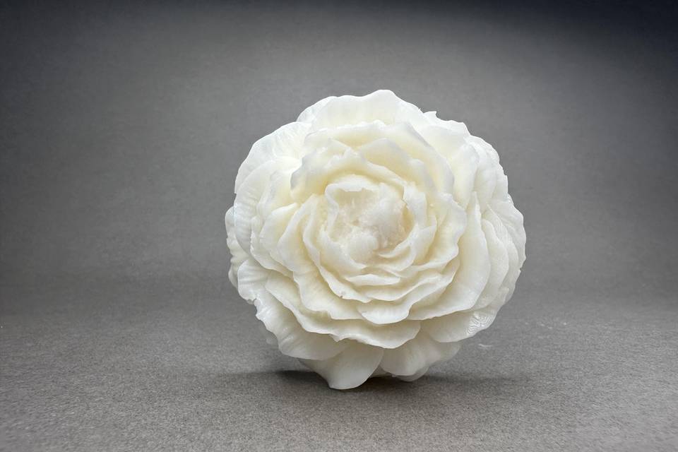 Peonia
