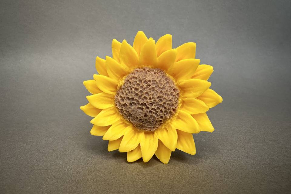 Girasole