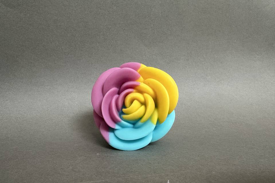 Rosa arcobaleno