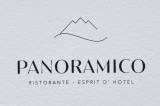 Logo  panoramico