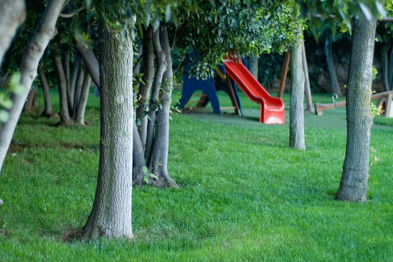 Parco per i bambini