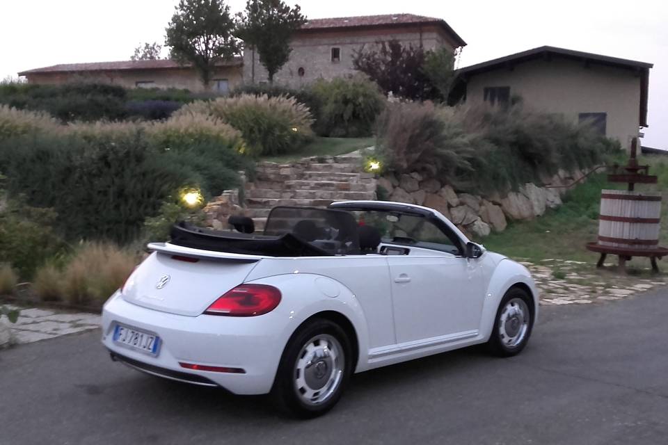 Maggiolino Cabrio