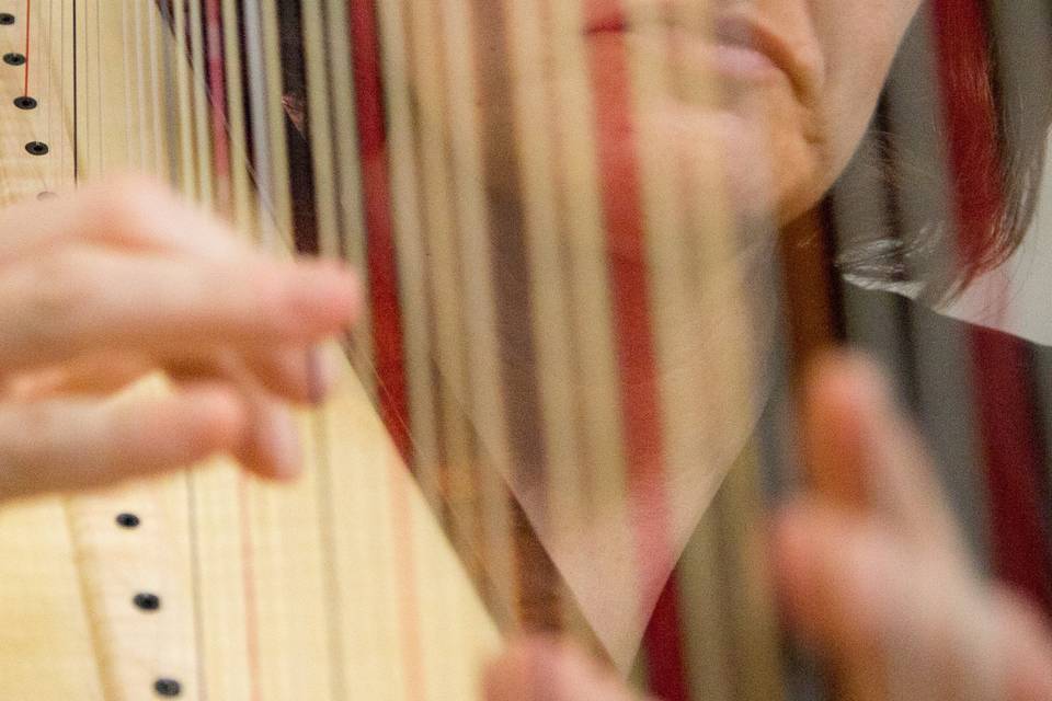 Musica