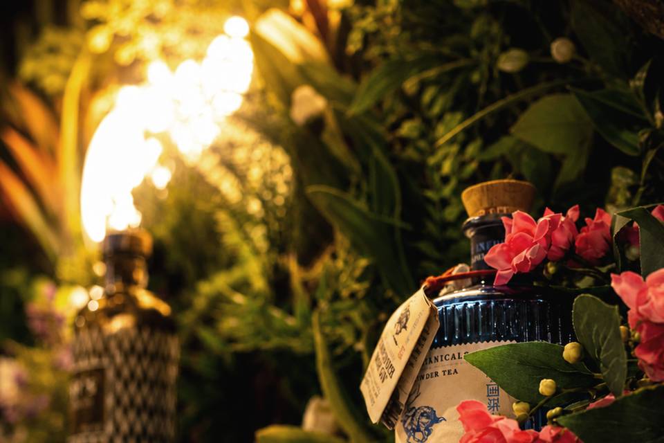 Gin premium 2