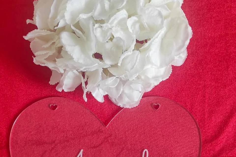 Arriva la Sposa in plex trasp.