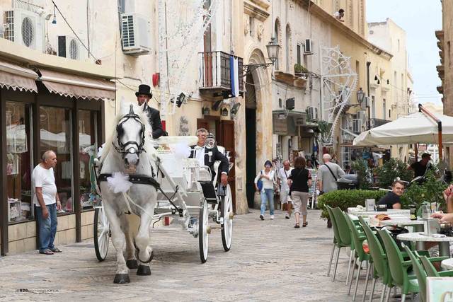 Gallipoli, carrozza sposi