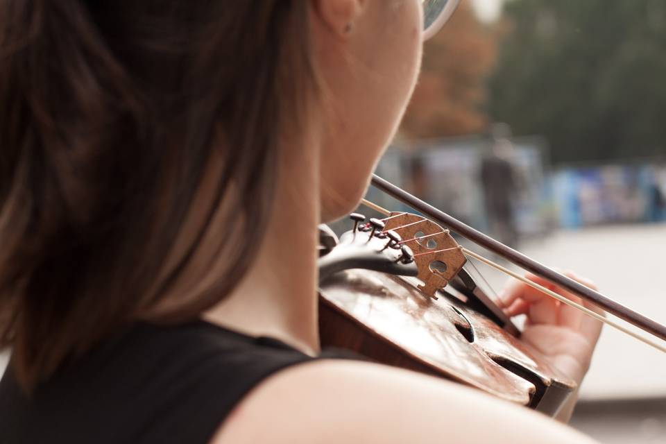 Organista and Strings