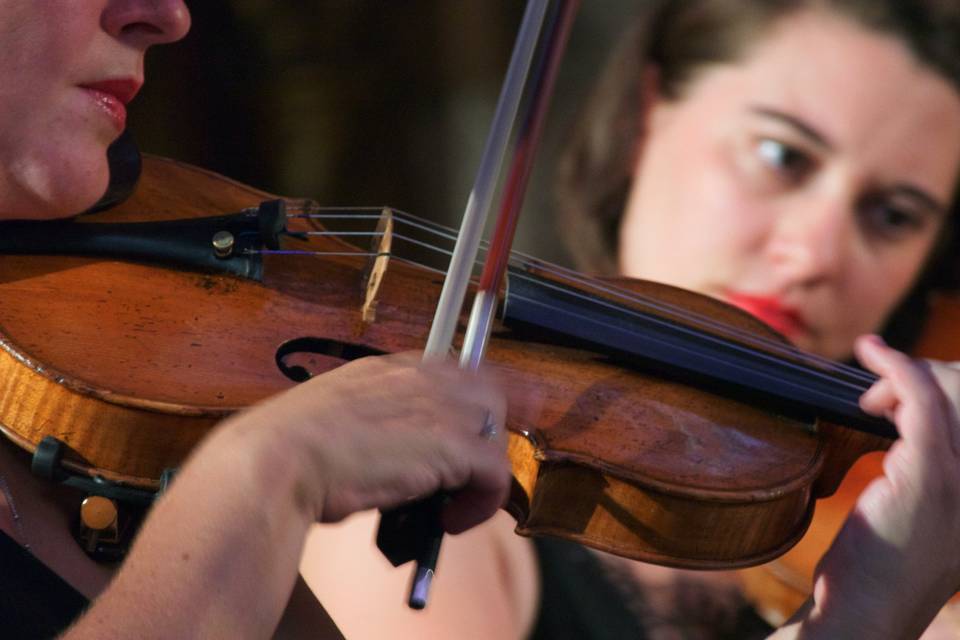 Organista and Strings