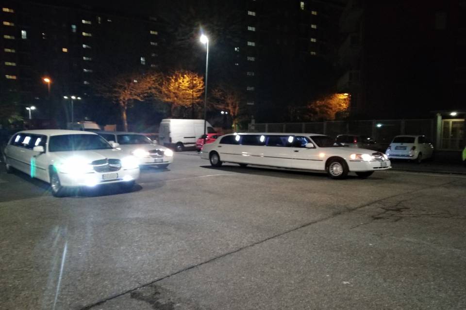 Limousine Feste in Torino