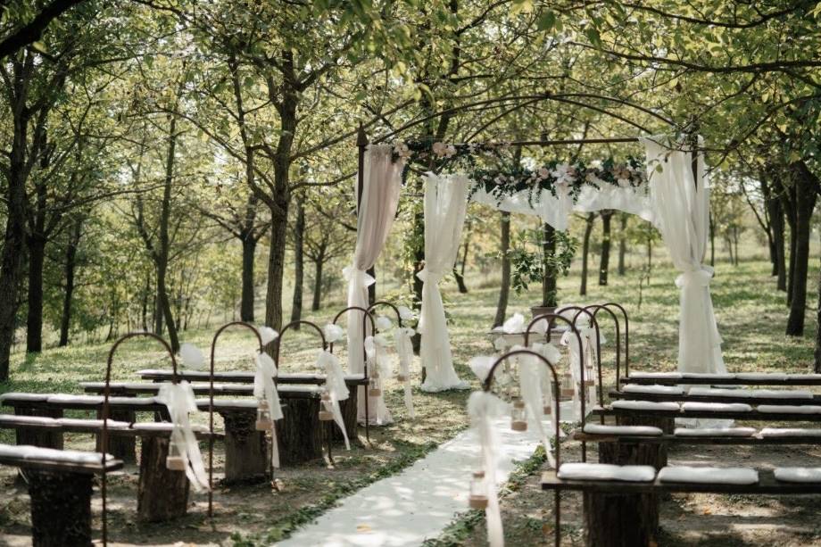 Cerimonia nel bosco
