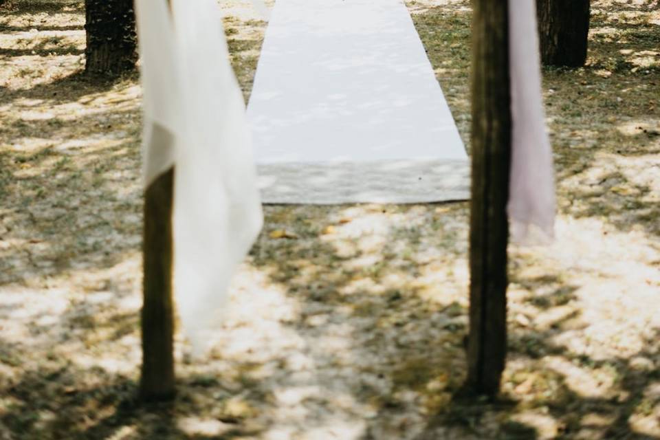 Cerimonia nel bosco