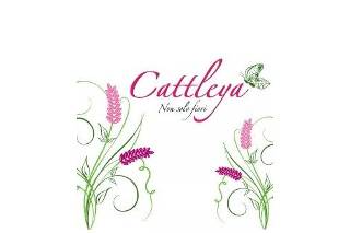 Cattleya - Non solo fiori