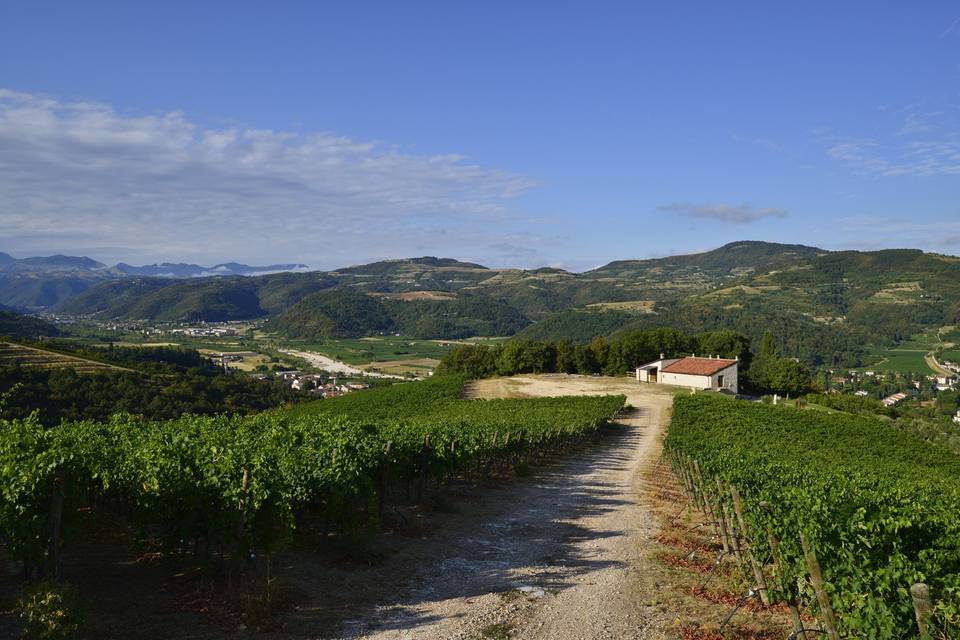 Tenuta Le Cave