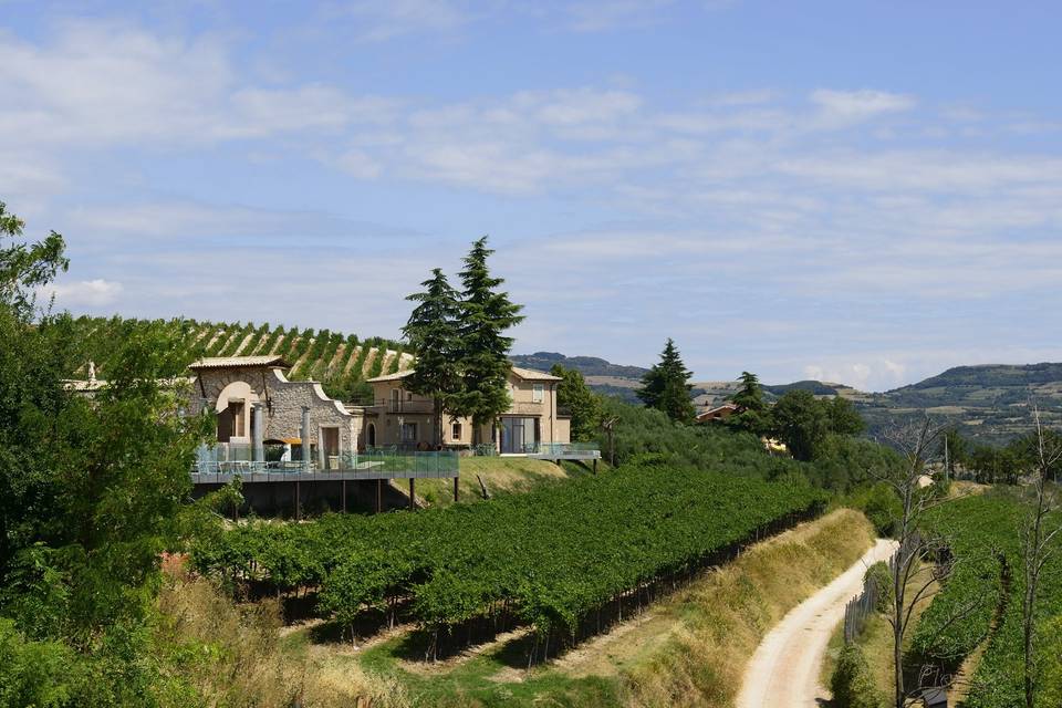 Tenuta Le Cave