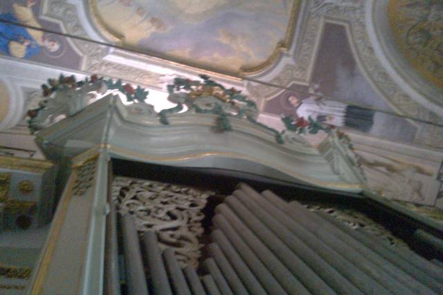 Organo ligure