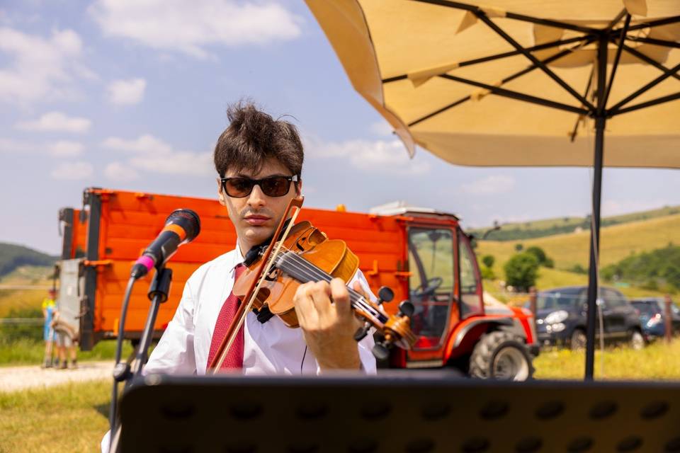 Violino cerimonia