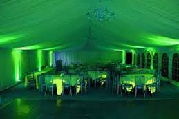 Green sala