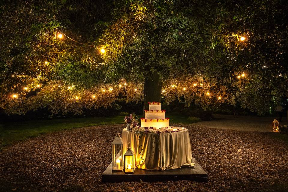 Tagli torta in giardino
