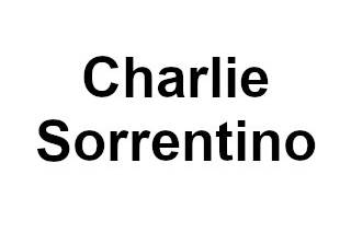 Charlie Sorrentino