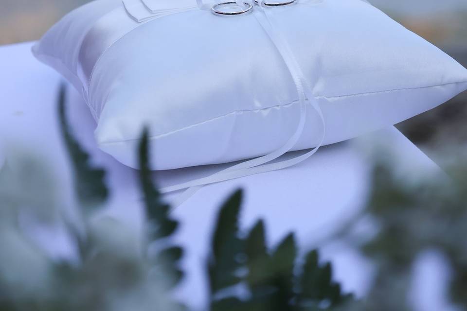 Chiara_Marchese_matrimonio