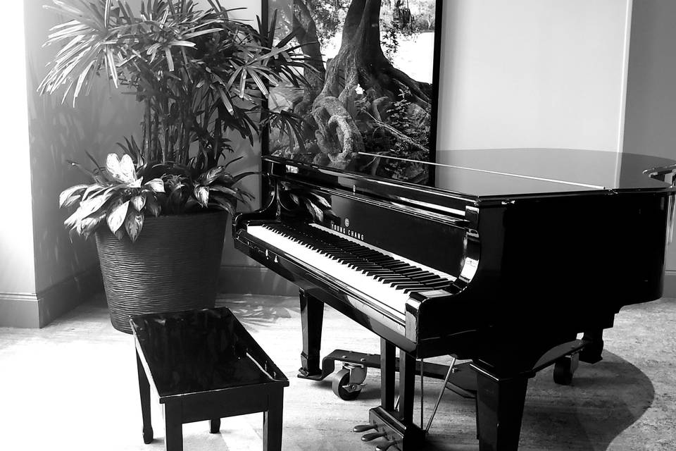 Pianista Firenze