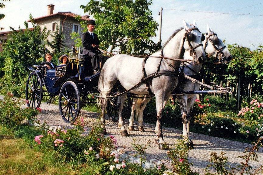 Matrimonio in carrozza