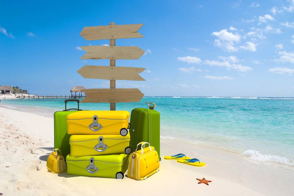 Saccani Viaggi e Vacanze Logo