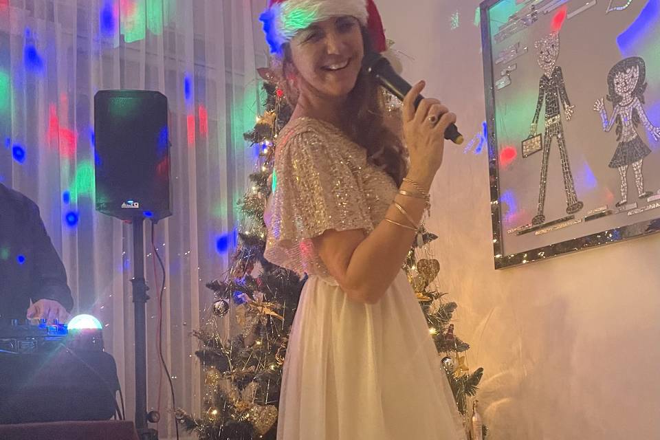 Intrattenimento evento natale