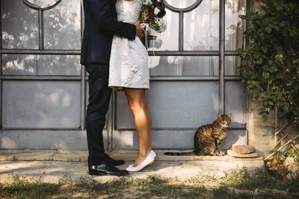 Sposi con gatto