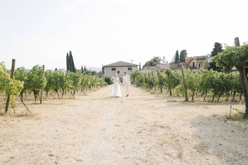 Immersi nella Valpolicella