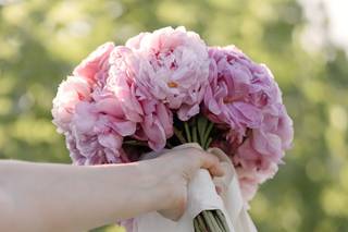 Mavi Flower Lab