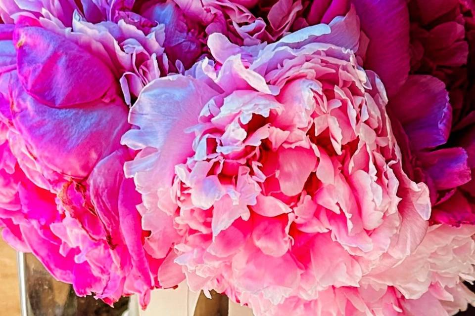 Bouquet