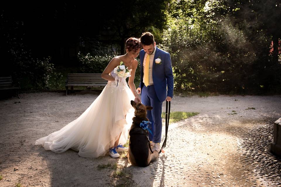 Matrimonio con cagnolina