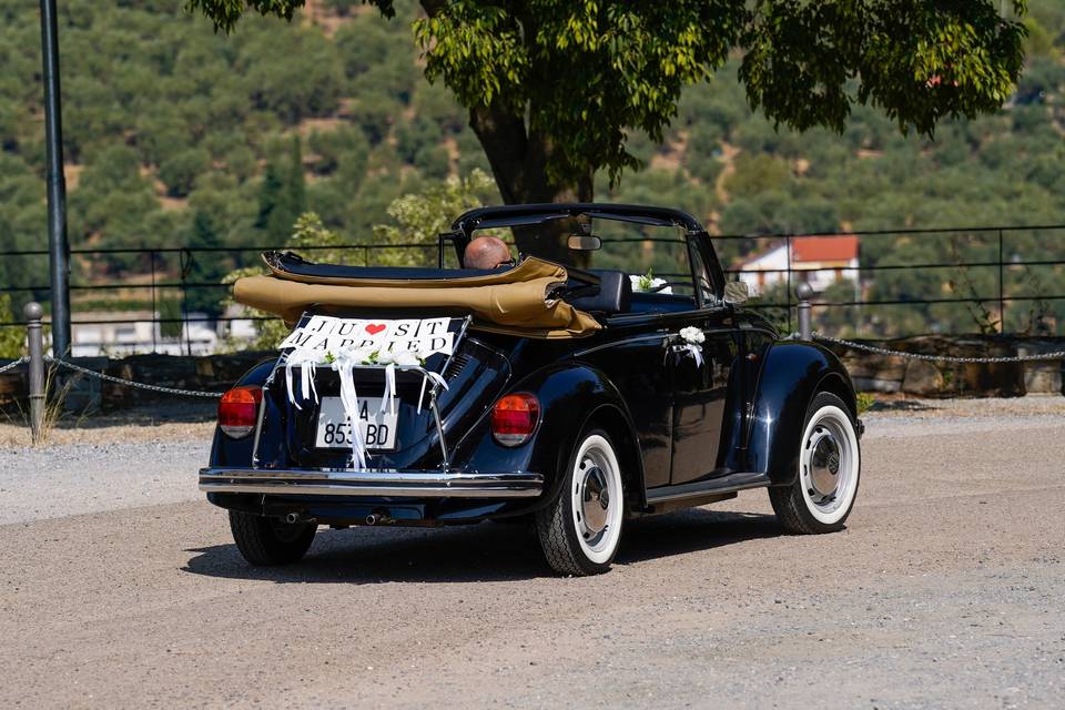 Benzina Rossa Classic Rent