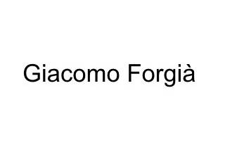 Logo_Giacomo Forgià