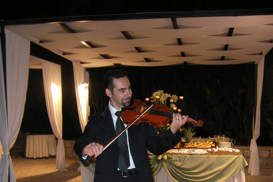 Violino