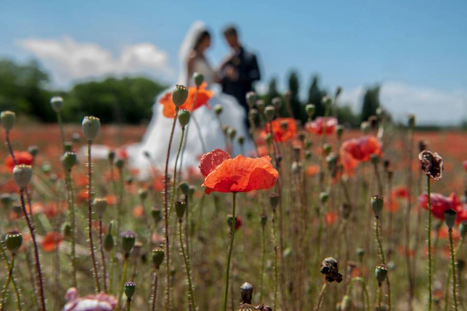 Fabio e Pamela