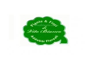 Piante & Fiori di Vito Bianco