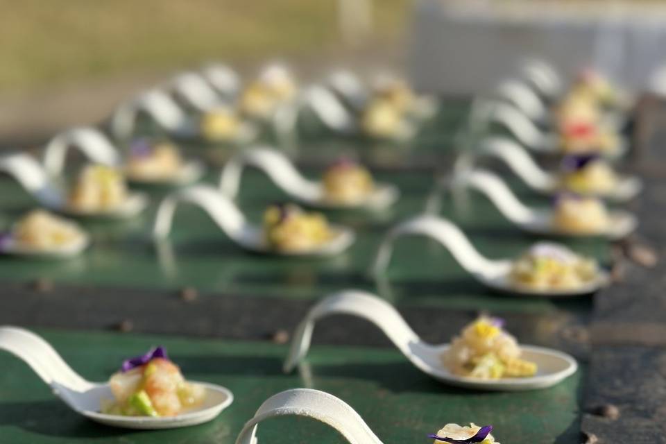 Tartare di gamberi e avocado