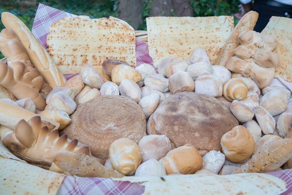 Varie tipologie di pane