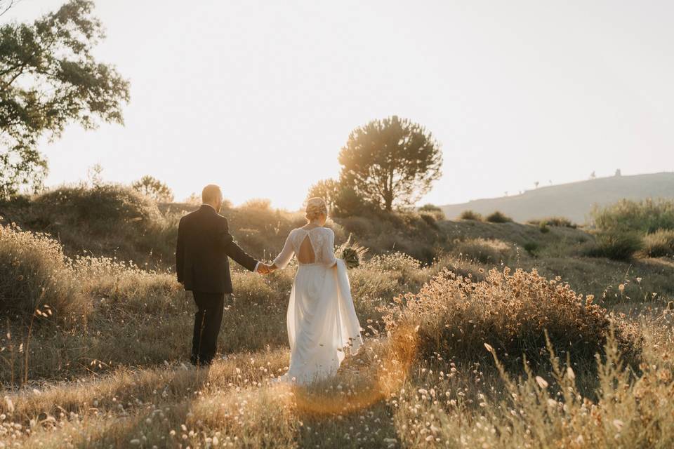 Wedding Photo