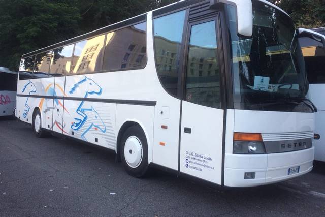 Bus e minibus