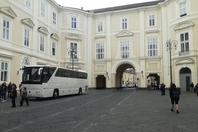 Bus e minibus