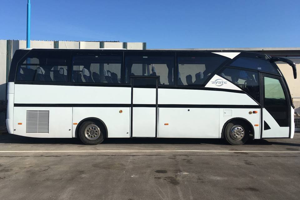 Bus e minibus