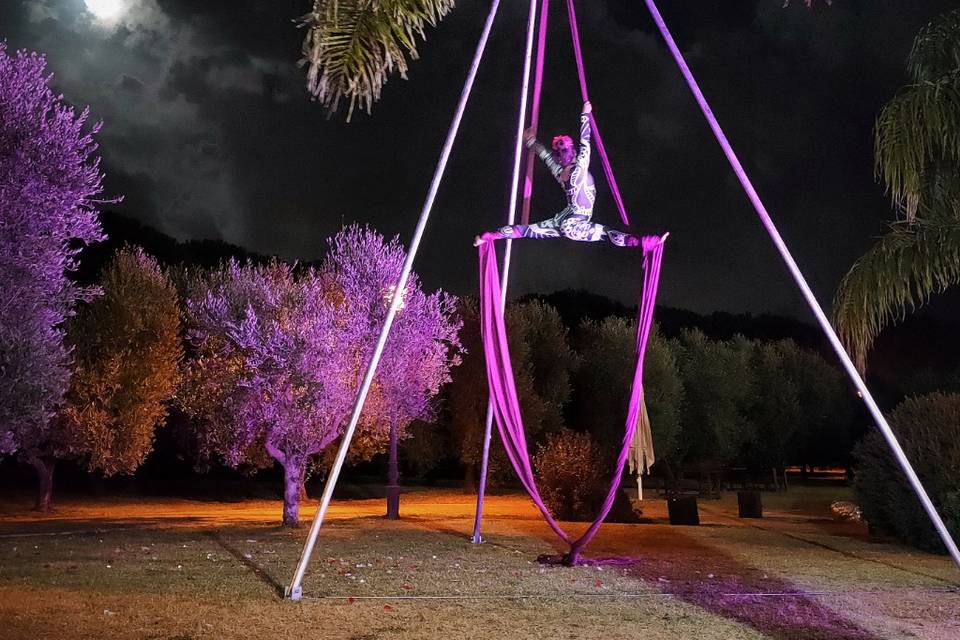 Aerial silks