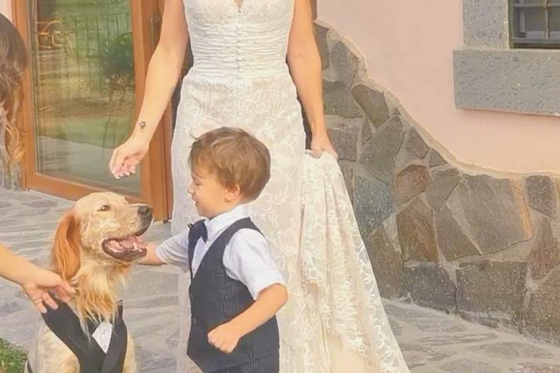 Real wedding con cane vestito