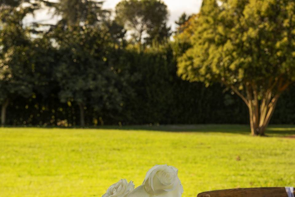 Runner nebbiolina in vetro