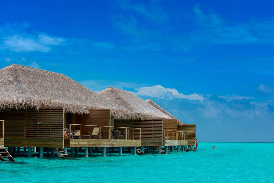 Maldive Cocoon