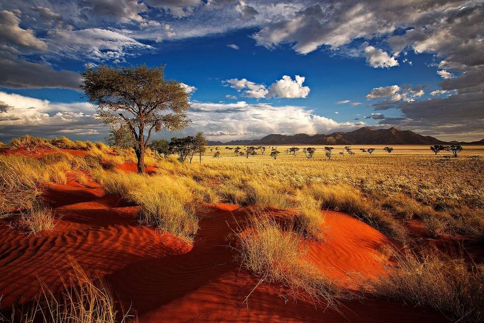 Namibia